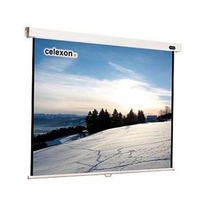 Celexon, Celexon Rollo Professional 1090048 Rolloleinwand 290 x 290 cm Bildformat: 1:1, Celexon Rollo-Leinwand Pro 290x290 cm 1:1