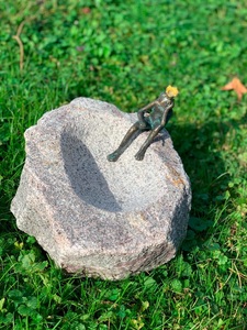 undefined, Froschkönig Vogeltränke, 