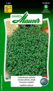 Samen Mauser, SAMEN MAUSER Gartenkresse EINFACHE, SAMEN MAUSER Gartenkresse EINFACHE