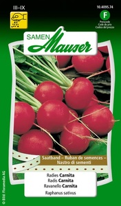 Samen Mauser, Saatband Radies Carnita, SAMEN MAUSER Radies CARNITA