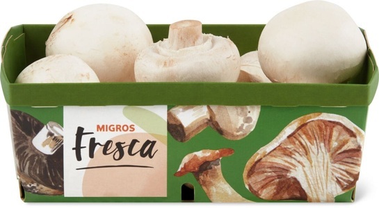 Fresca, Wauwiler Champignons weiss, Fresca Champignons