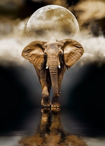 Clementoni, Puzzle Elefant, Clementoni Elefant Puzzle