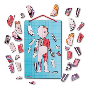 Janod, Janod Body-Magnet 96-teilig in bunt, Body-Magnet 96-teilig in bunt