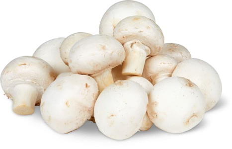 Fresca, Wauwiler Champignons weiss, Fresca Champignons