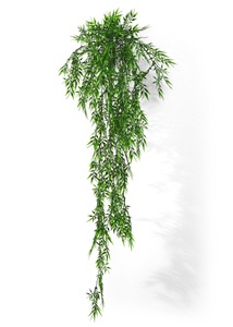 bpc living bonprix collection, Kunstpflanze Bambus, 