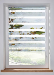 bpc living bonprix collection, Doppelrollo mit Digitaldruck, 