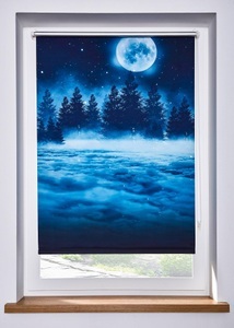 bpc living bonprix collection, Verdunkelungsrollo mit Nachtlandschaft, 