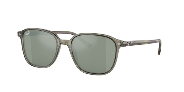 Ray-Ban Sonnenbrillen RB2193 Leonard 66355C