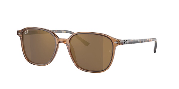 Ray-Ban Sonnenbrillen RB2193 Leonard 663693
