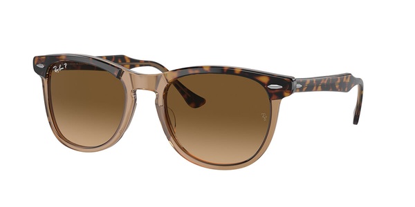 Eagleeye, Ray-Ban Eagleeye RB2398 1292M2 53, RAY BAN RB2398 Unisex-Sonnenbrille Vollrand Browline Acetat-Gestell, braun