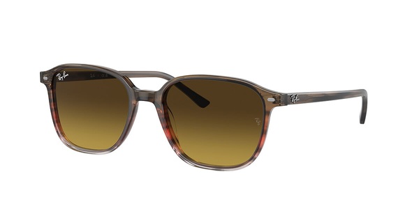 Ray-Ban Sonnenbrillen RB2193 Leonard 138085