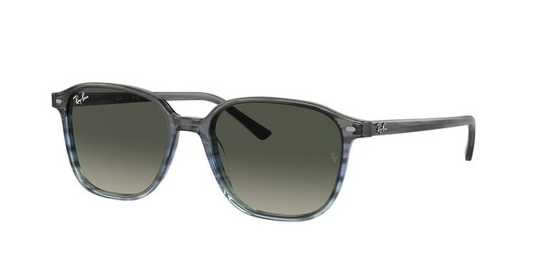 Ray-Ban Sonnenbrillen RB2193 Leonard 138171