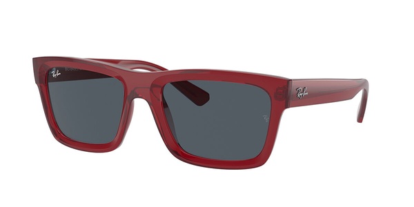 Ray-Ban Sonnenbrillen RB4396 Warren 667987