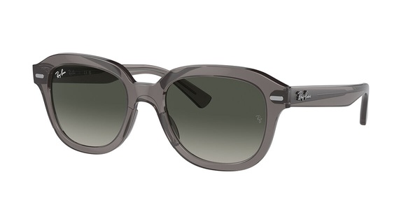 Ray-Ban Sonnenbrillen RB4398 Erik 667571