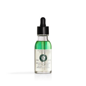 L'Occitane en Provence, Serum Anti-Chûte Cheveux - 50 - L'Occitane en Provence, Sérum Anti-Chute Cheveux 50ml - L'Occitane en Provence