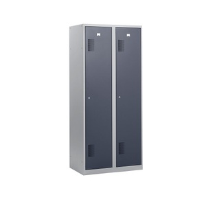 QUIPO, QUIPO Garderobenschrank Breite 800 mm, 2 Abteile à 398 mm, mit Zylinderschloss Korpus lichtgrau, Türen basaltgrau, eurokraft basic Garderobenspind Amsterdam, 2 Abteile, lichtgrau / basaltgrau, Breite 800 mm, Zylinderschloss