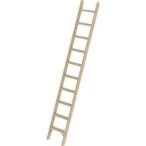 Guenzburger, Holz-Anlegeleiter, MUNK Holz-Anlegeleiter, mit Stufen, 10 Stufen