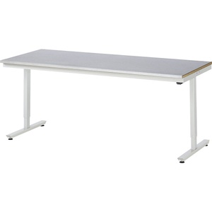 RAU, Arbeitstisch, elektrisch höhenverstellbar, RAU Arbeitstisch, elektrisch höhenverstellbar Serie Adlatus, Stahlblechplatte, Höhe 720 - 1120 mm, BxT 2000 x 800 mm