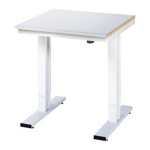 RAU, Arbeitstisch, elektrisch höhenverstellbar, RAU Arbeitstisch, elektrisch höhenverstellbar, Höhe 720 - 1120 mm, Stahlblechplatte, BxT 750 x 800 mm