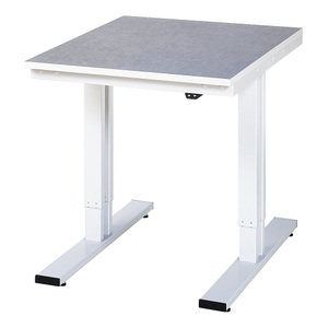 RAU, Arbeitstisch, elektrisch höhenverstellbar, RAU Arbeitstisch, elektrisch höhenverstellbar, Höhe 720 - 1120 mm, Linoleumbelag, BxT 750 x 1000 mm