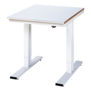 RAU, Arbeitstisch, elektrisch höhenverstellbar, RAU Arbeitstisch, elektrisch höhenverstellbar, Höhe 720 - 1120 mm, Stahlblechplatte, BxT 750 x 1000 mm