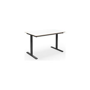 Mehrzwecktisch DUO-T Trend, gerade Platte, abgerundete Ecken, BxT 1200 x 800 mm, weiß, schwarz
