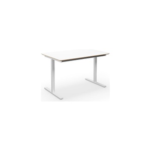 Mehrzwecktisch DUO-T Trend, gerade Platte, abgerundete Ecken, BxT 1200 x 800 mm, weiß, weiß