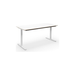 Mehrzwecktisch DUO-T Trend, gerade Platte, abgerundete Ecken, BxT 1600 x 800 mm, weiß, weiß