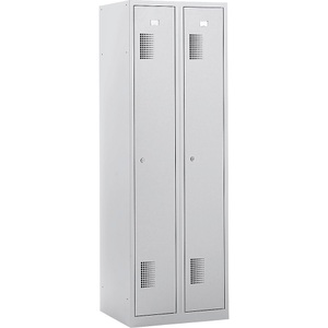 QUIPO, QUIPO Garderobenschrank Breite 600 mm, 2 Abteile à 298 mm, mit Zylinderschloss komplett lichtgrau, eurokraft basic Garderobenspind Amsterdam, antibakteriell, 2 Abteile, lichtgrau, Breite 600 mm