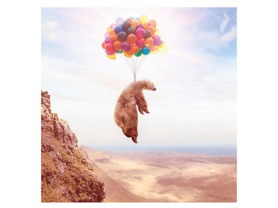 undefined, Fliegender Bär an Luftballons, Fliegender Bär an Luftballons