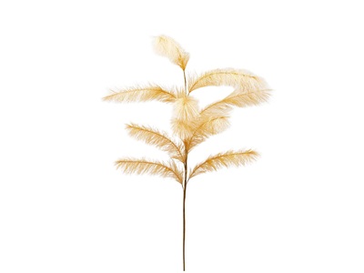 Schubiger, Kunstblume Pampasgras Gold H: 130 cm, Pampasgras Gold H: 130 cm