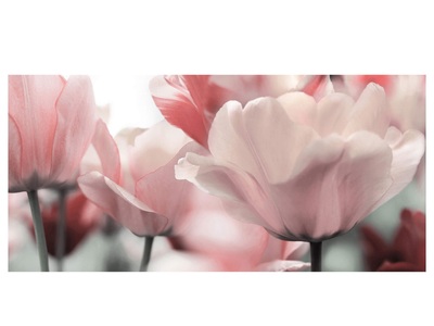 undefined, Blüten in Rose, Blüten in Rose