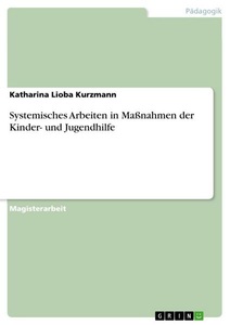 undefined, Systemisches Arbeiten in Maßnahmen der Kinder- und Jugendhilfe