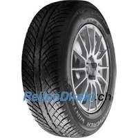 Cooper, Cooper Discoverer Winter ( 295/35 R21 107V XL ), Cooper Discoverer Winter ( 295/35 R21 107V XL )