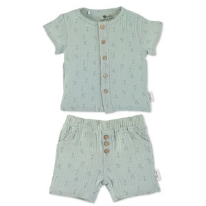Sterntaler, Sterntaler Set Shirt+kurze Hose Palme mittelgrün, 