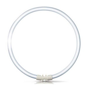 Philips, 2GX13 60W 840 Ring-Leuchtstofflampe Master TL5, Philips MASTER TL5C rund 60W - 840 Kaltweiß | 38cm