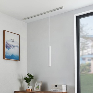 LINDBY, Lindby Seet Pendellampe 1-Phasen Schiene, weiß, Lindby Pendellampe Linaro, 40 cm, weiß, 1-Phasen, Ø 6 cm