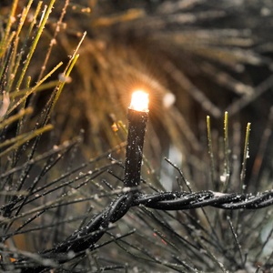 Konstmide CHRISTMAS, Außentrafo inklusive - LED-Lichterkette Micro 400, KONSTSMIDE LED-Lichterkette »Micro 400 LED Outdoor«, 400 St.-flammig