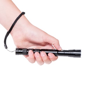 Maul, MAUL LED-Taschenlampe MAULdion 0.5W 8186690 schwarz, 30000h, 20lum, Maul LED-Taschenlampe MAULdion, 0.5W, schwarz, 30000h, 20lum, 8186690