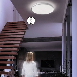 FISCHER&HONSEL GMBH, LED-Deckenleuchte Jaso BS, Ø 49 cm, silber, Deckenlampe Diar