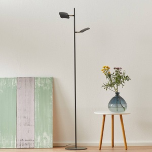 Freelight, LED-Stehleuchte Raggio, zweiflammig, schwarz, 