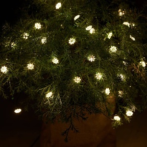 Sirius, Sirius Silke LED In- und Outdoor Lichterkette, Für innen und außen - LED-Lichterkette Silke 40fl