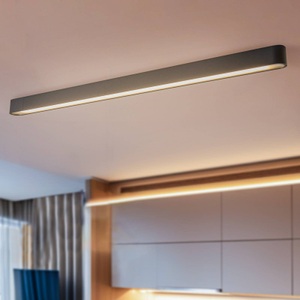 EULUNA, LED-Deckenleuchte Soft, 125 x 6 cm, graphit, Deckenleuchte Soft, 125 x 6 cm, graphit, Aluminium, G13
