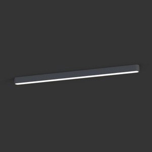 EULUNA, LED-Deckenleuchte Soft, 125 x 6 cm, graphit, Deckenleuchte Soft, 125 x 6 cm, graphit, Aluminium, G13