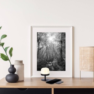 Nino Leuchten, LED-Akku-Tischlampe Adam, schwarz, 