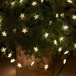 Sirius, Sirius LED-Weihnachtslichterkette Trille, LED-Lichterkette Trille, 40-flammig, Kabel grün