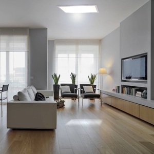 Naeve, NAEVE LED Deckenlampe Panel Weiss, LED-Panel 1298003 zum Ein- oder Aufbau, 60x30 cm
