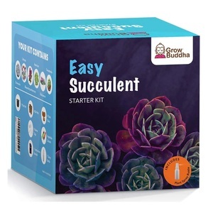 Grow Buddha, Aufzuchtset Kakteen, 