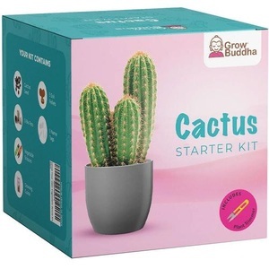 Grow Buddha, Aufzuchtset Kaktus, 