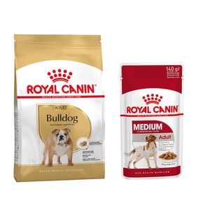 Royal Canin Breed, Grossgebinde Royal Canin Breed + Hundedecke gratis! - Bulldog (12 kg), Royal Canin Bulldog Adult - 12 kg